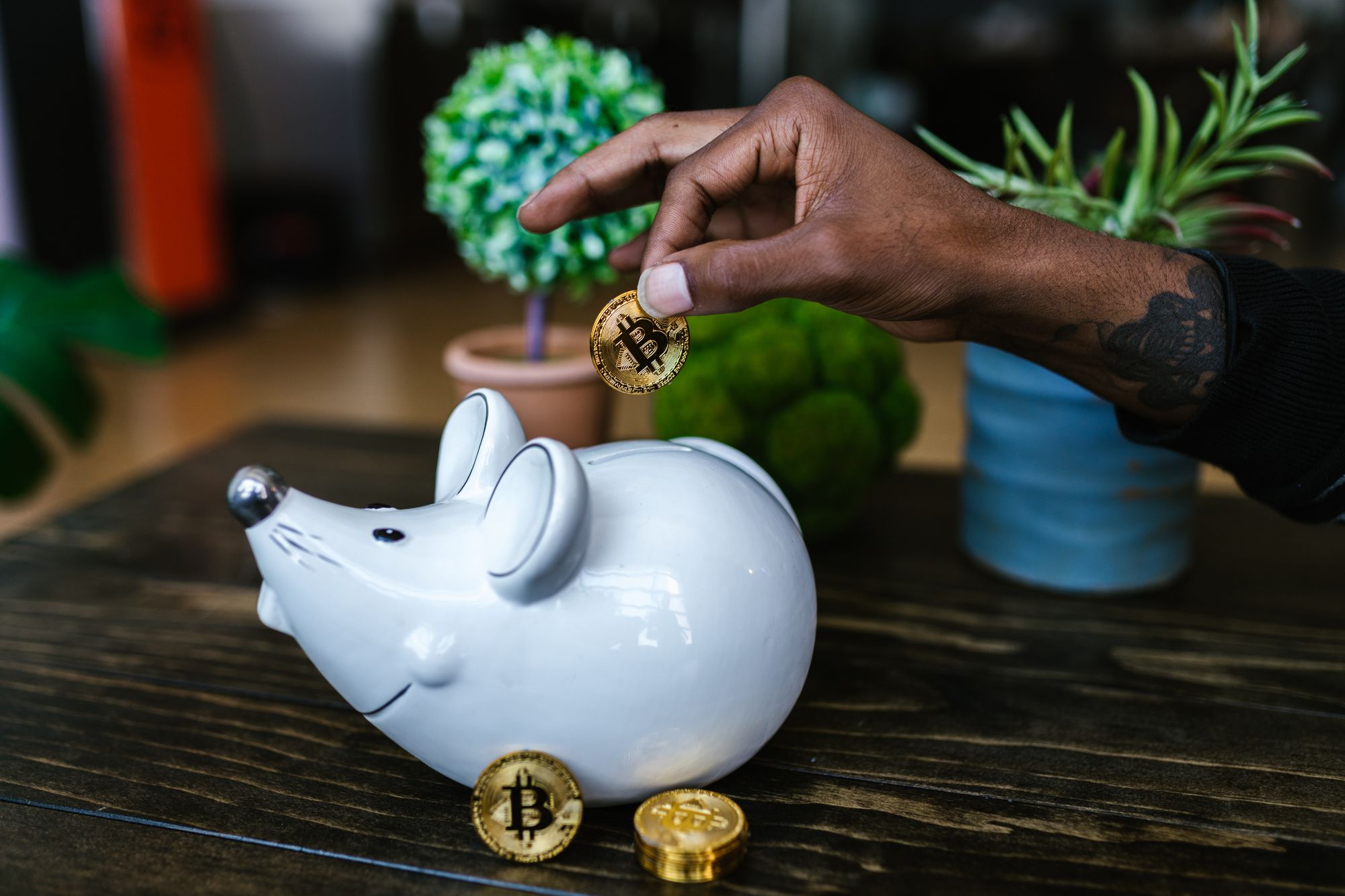 piggy bank (Saving with Bitcoin)