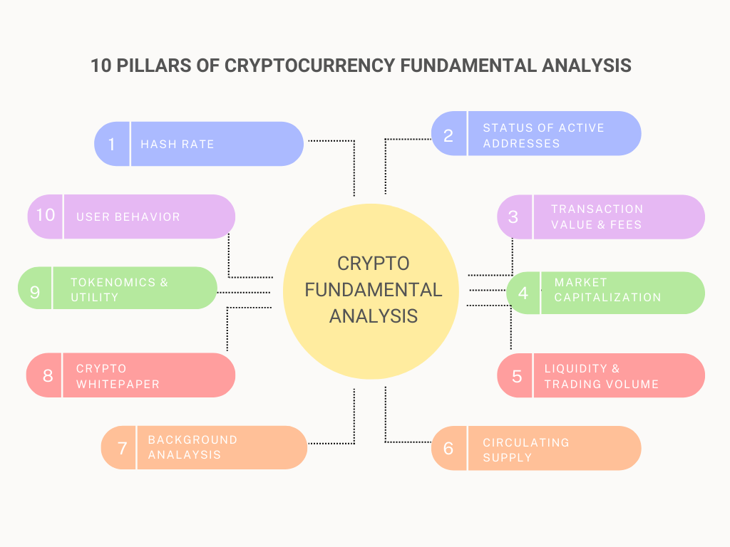 How to Analyze a Crypto Using Fundamental Analysis?