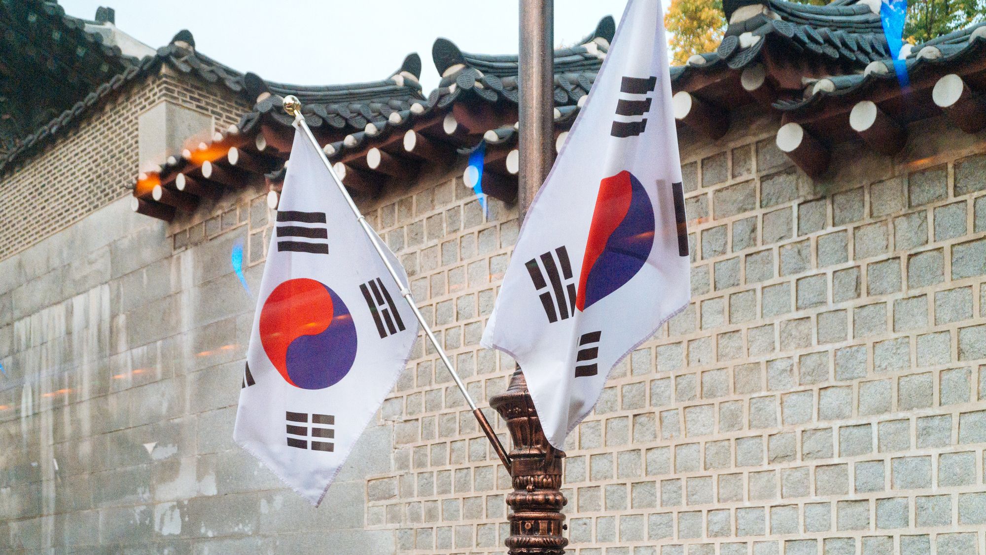 South Korean flags