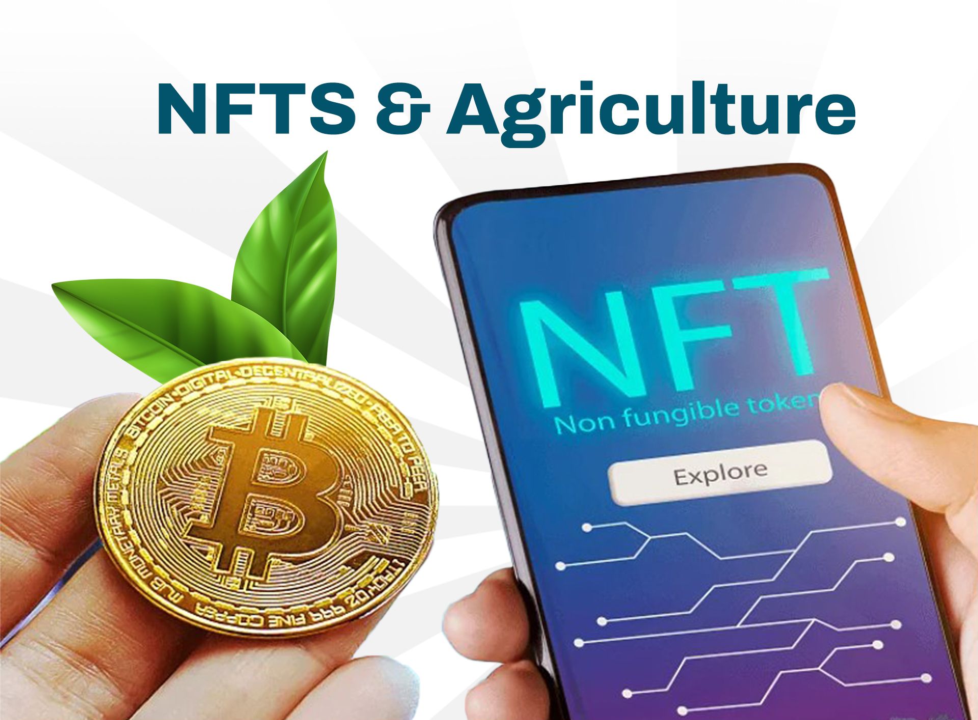 NFTs & Agriculture: Modernizing Ownership