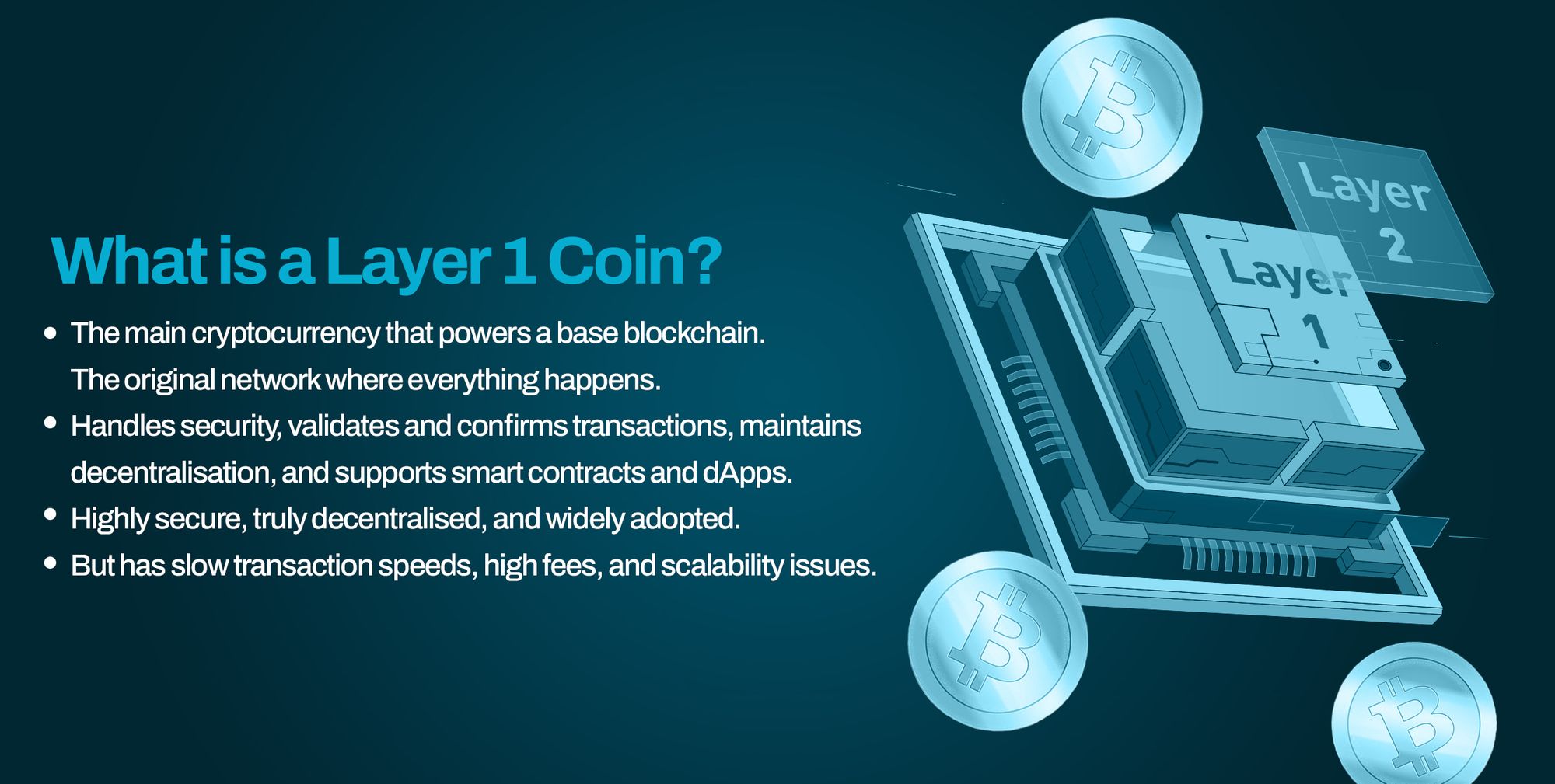 Features of a layer 1 coin