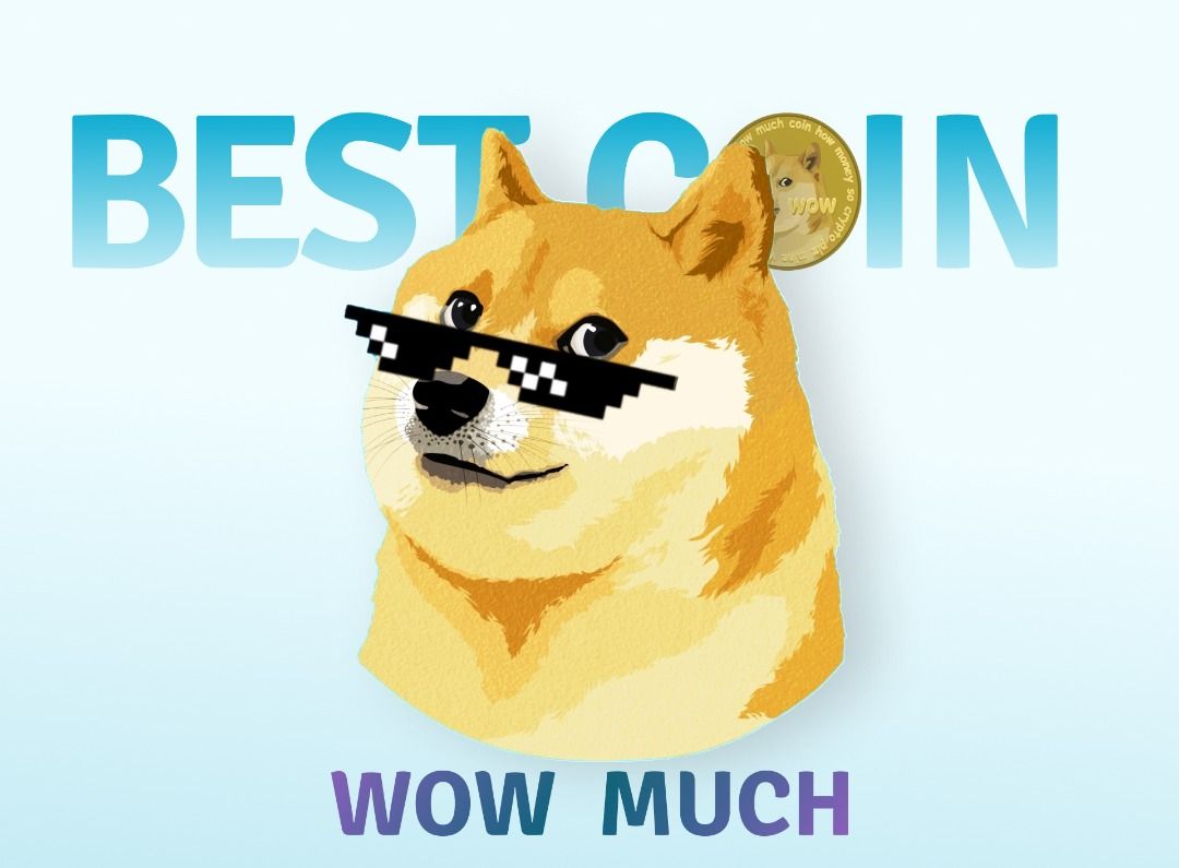 Why you should invest in Doge: Making a case for the meme coin
