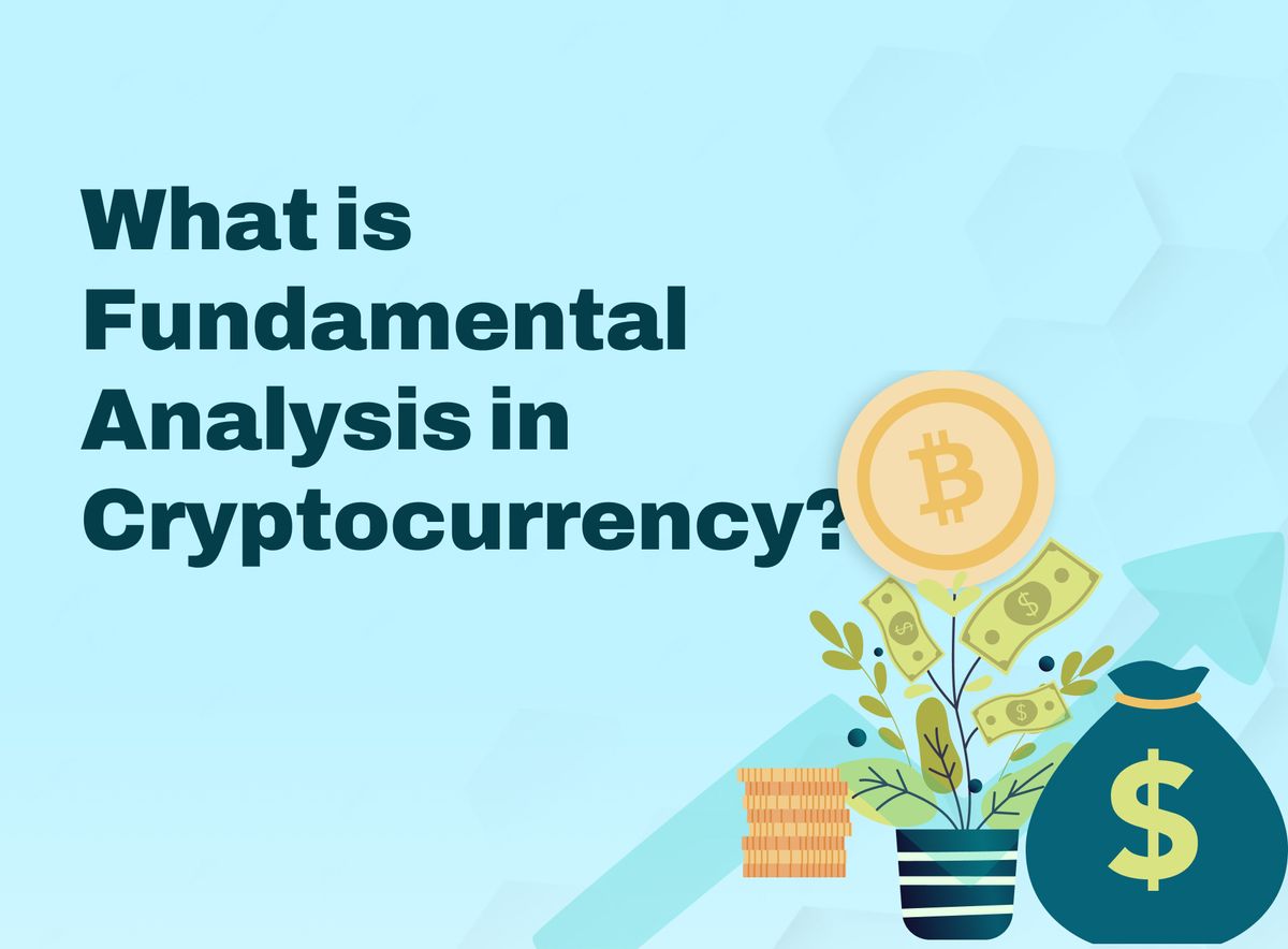 What is Fundamental Analysis in Cryptocurrency And How to Do It