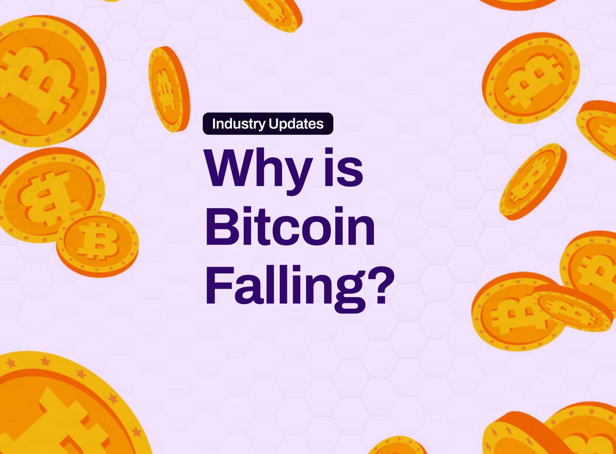 Why is Bitcoin Falling?
