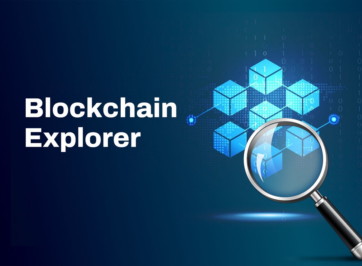 What Is a Blockchain Explorer, and How Do You Use It?