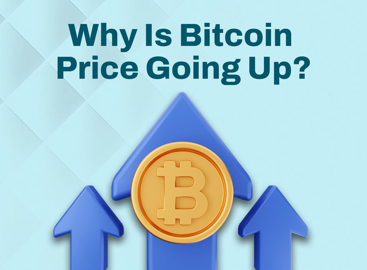 Why Is Bitcoin Price Going Up?
