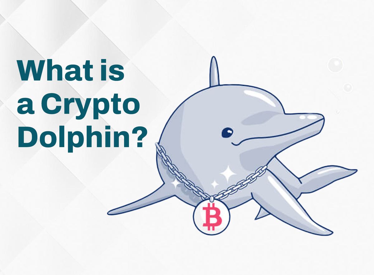 What is a Crypto Dolphin?