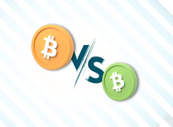 Bitcoin Vs Bitcoin Cash: What’s the Difference?