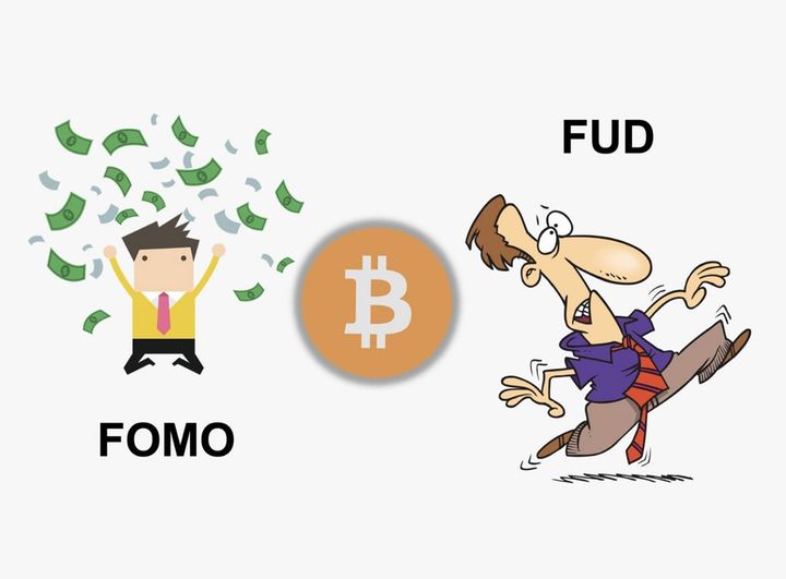 From FOMO to FUD: Navigating Emotional Extremes in the Crypto Community
