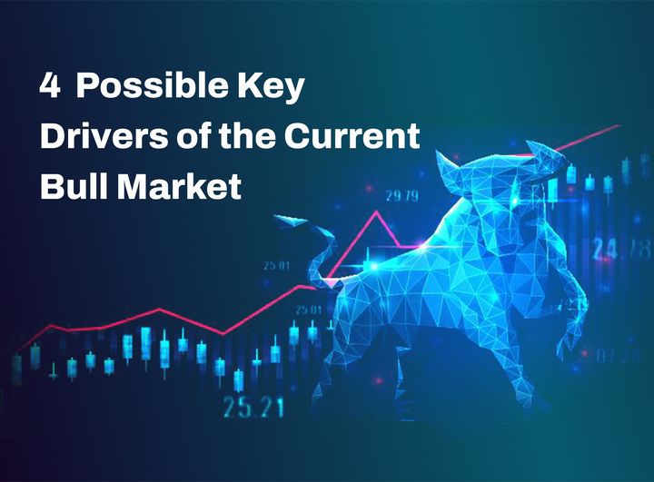 4  Possible Key Drivers of the Current Bull Market