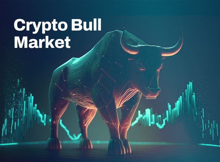 What To Do In A Crypto Bull Market
