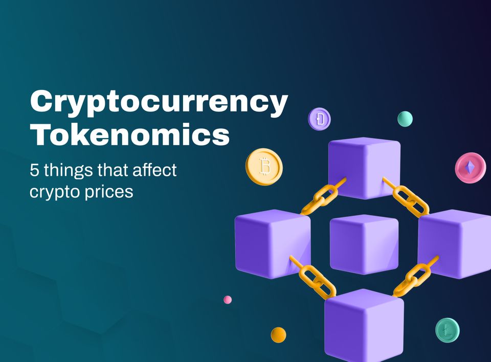 Crypto Tokenomics; 5 Things That Affect Crypto Price And Value