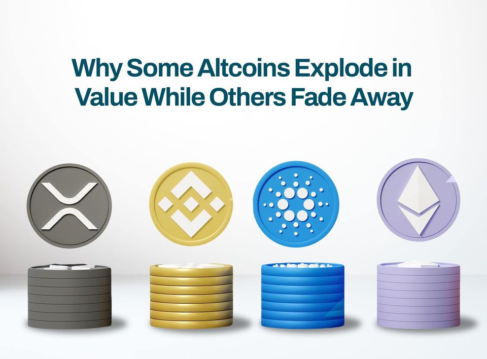Why Some Altcoins Explode in Value While Others Fade Away