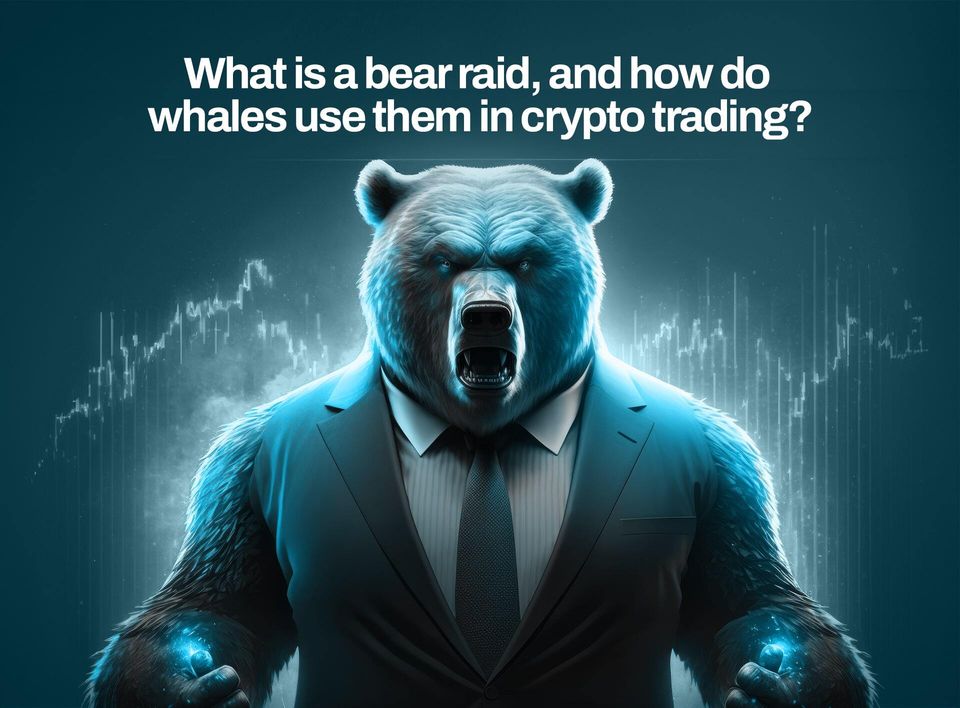 What Is a Bear Raid, and How Do Whales Use Them in Crypto Trading?